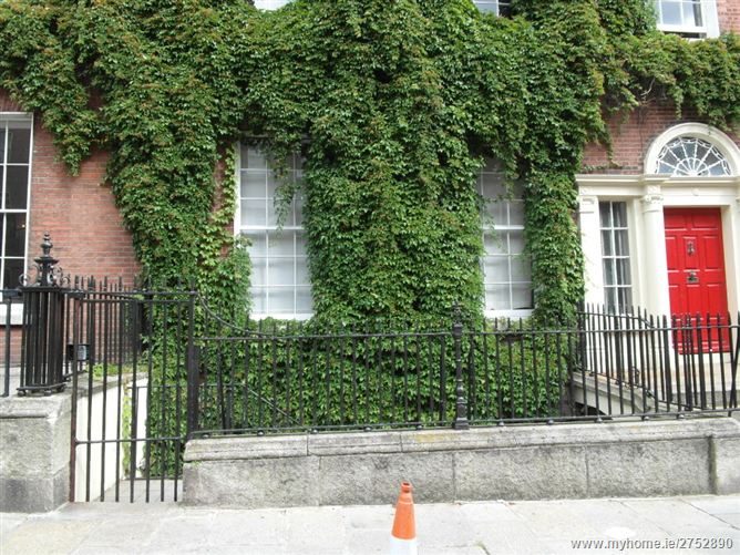 12 The Mews 41 North Great Street, North City Centre, Dublin 1